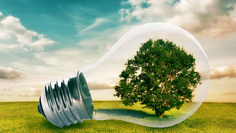 Offerte Placet EnergieChiare